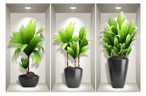 Komplet 3 naklejek ściennych 3D Ambiance Exotic Plants