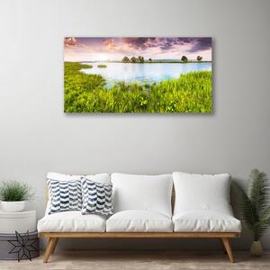 Obraz Canvas Trawa Jezioro Przyroda