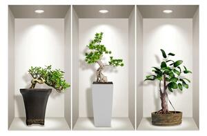 Komplet 3 naklejek ściennych 3D Ambiance Bonsai Plants