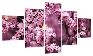 Obraz - Różowa sakura (125x70 cm)