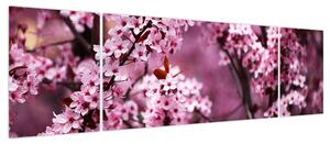 Obraz - Różowa sakura (170x50 cm)