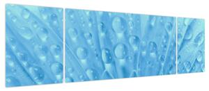 Obraz - Ujęcie makro kwiatu (170x50 cm)