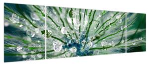 Obraz - Makro zdjęcie kwiatu (170x50 cm)