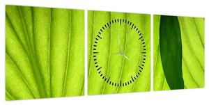Obraz - Szczegół zielonego liścia (z zegarem) (90x30 cm)