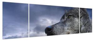 Obraz - Głowa wilka (170x50 cm)