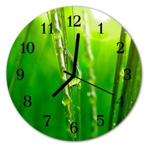 Zegar ścienny okrągły Krople trawy