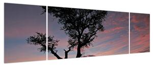 Obraz - Drzewo i czerwonawe odcienie (170x50 cm)