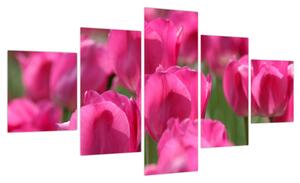 Obraz - Różowe tulipany (125x70 cm)