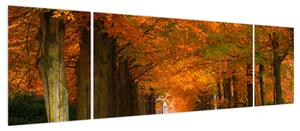 Obraz - Aleja drzew jesienią (170x50 cm)