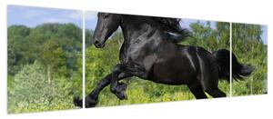 Obraz - Koń z płynącą grzywą (170x50 cm)