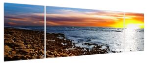 Obraz - Mewa lecąca nad wybrzeżem (170x50 cm)