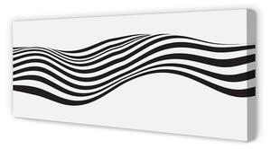 Obraz na płótnie Paski zebra fala