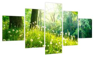 Obraz - Magiczna łąka pełna mniszków lekarskich (125x70 cm)
