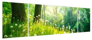 Obraz - Magiczna łąka pełna mniszków lekarskich (170x50 cm)
