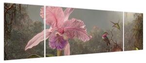 Obraz - Martin Johnson Heade, Cattleya Orchid and Three Hummingbirds, reprodukcje (170x50 cm)