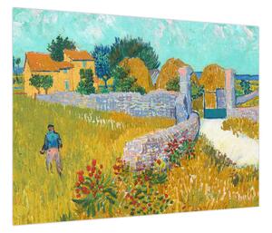 Obraz - Vincent van Gogh, Farmhouse in Provence, reprodukcje (70x50 cm)