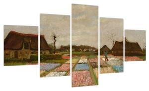 Obraz - Vincent van Gogh, Flower Beds in Holland, reprodukcje (125x70 cm)