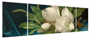 Obraz - Martin Johnson Heade, Giant Magnolias on a Blue Velvet Cloth, reprodukcje (170x50 cm)