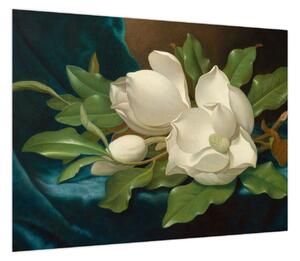 Obraz - Martin Johnson Heade, Giant Magnolias on a Blue Velvet Cloth, reprodukcje (70x50 cm)