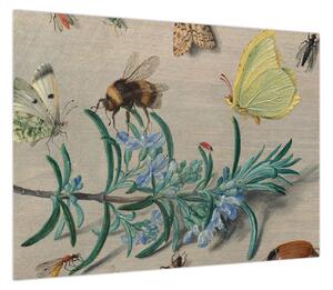 Obraz - Jan van Kessel the Elder, Insects and a Sprig of Rosemary, reprodukcje (70x50 cm)