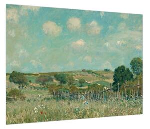Obraz - Alfred Sisley, Meadow, reprodukcje (70x50 cm)