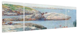 Obraz - Childe Hassam, Poppies, Isles of Shoals, reprodukcje (170x50 cm)