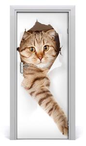Naklejka samoprzylepna na drzwi Kot