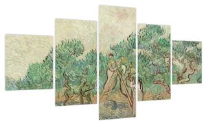 Obraz - Vincent van Gogh, The Olive Orchard, reprodukcje (125x70 cm)