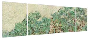 Obraz - Vincent van Gogh, The Olive Orchard, reprodukcje (170x50 cm)