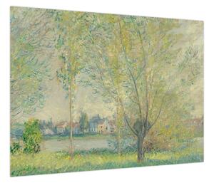 Obraz - Claude Monet, The Willows, reprodukcje (70x50 cm)