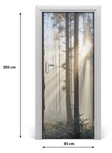 Naklejka fototapeta na drzwi Mgła w lesie