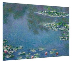 Obraz - Claude Monet, Water Lilies, reprodukcje (70x50 cm)