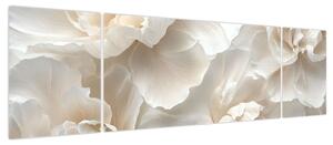 Obraz - Delikatne piwonie (170x50 cm)