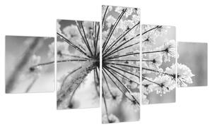 Obraz - Kwiat w zimie (125x70 cm)