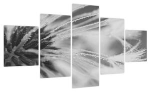 Obraz - Mlecz (125x70 cm)