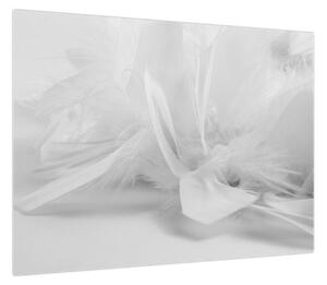 Obraz - Pióra (70x50 cm)