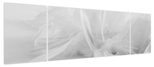 Obraz - Pióra (170x50 cm)