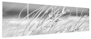 Obraz - Trawa plażowa (170x50 cm)
