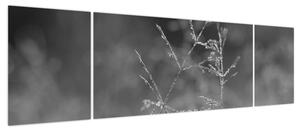 Obraz - Wiejska łąka (170x50 cm)