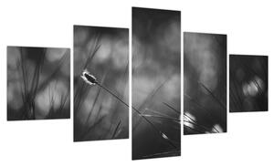 Obraz - Trawa łąkowa (125x70 cm)