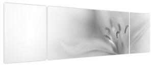Obraz - Delikatna lilia (170x50 cm)
