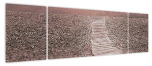 Obraz - Plaża żwirowa (170x50 cm)