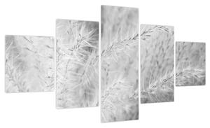 Obraz - Trawa pampasowa N⁰1 (125x70 cm)