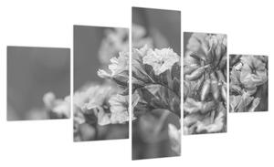 Obraz - Suszone kwiaty (125x70 cm)