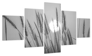 Obraz - Łąka o zachodzie słońca (125x70 cm)