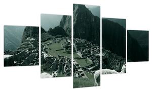 Obraz - Lamy w Machu Picchu w Peru (125x70 cm)