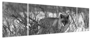 Obraz - Lis w zimie (170x50 cm)