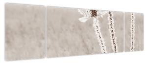 Obraz - Oset w zimie (170x50 cm)