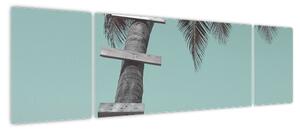 Obraz - Palma na Karaibach (170x50 cm)