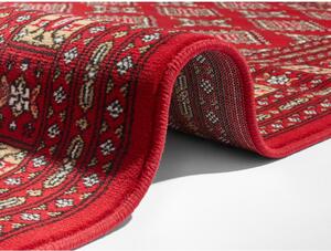 Czerwony dywan Nouristan Sao Buchara, 80x150 cm